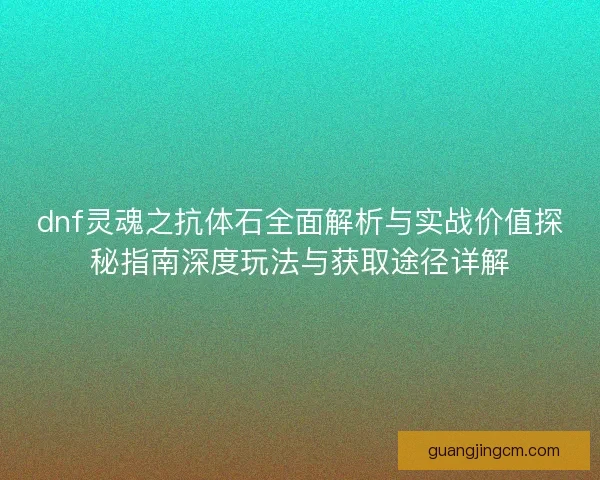 dnf灵魂之抗体石全面解析与实战价值探秘指南深度玩法与获取途径详解